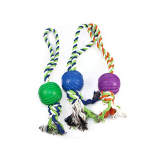 Dog Toy Rope & Ball bd