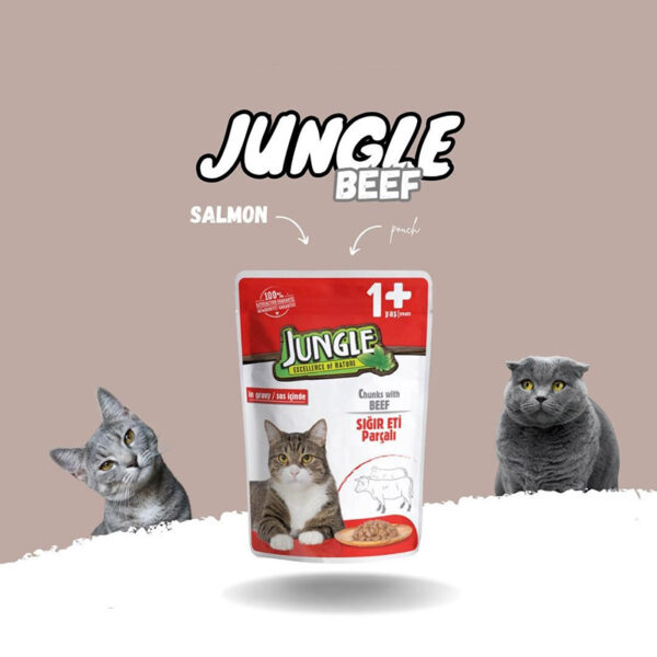 Jungle Cat Pouch – Chunks With Beef bd
