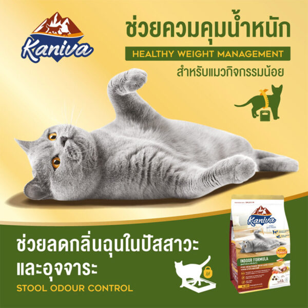 Kaniva Cat Food – Indoor Formula 2.8kg bd