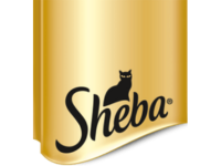 sheba-brand-logo-bd